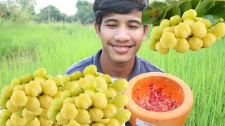 Mouth Watering Eating Gooseberry With Salt and Chili   Eating Spicy