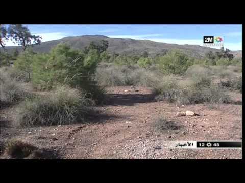 إطلاق 4000 حجلة بغابات الشرق