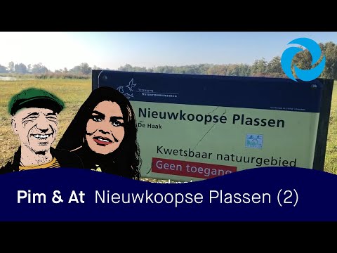 Pim & At Vlog 14: Nieuwkoopse Plassen deel 2