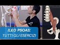 Esercizi per ILEO PSOAS: il muscolo che "infiamma" SCHIENA e ANCA