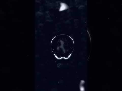 Amor Na Praia Speed Up 