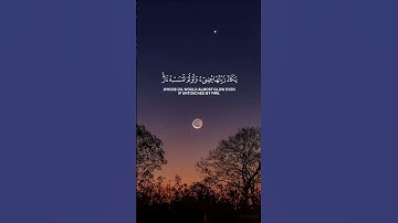 اللَّهُ نُورُ السَّمَاوَاتِ وَالْأَرْضِ | ياسر الدوسري #تلاوة_خاشعة #قرآن #اكسبلور