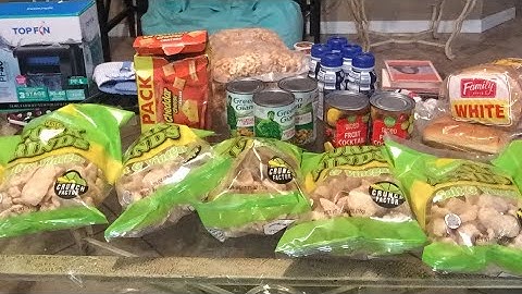 Dumpster Diving Haul From Dollar Tree, PetSmart, & CVS!! #dumpsterdiving #saveongroceries #freefood