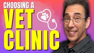 Choosing The Right Veterinary Clinic For Your Pet