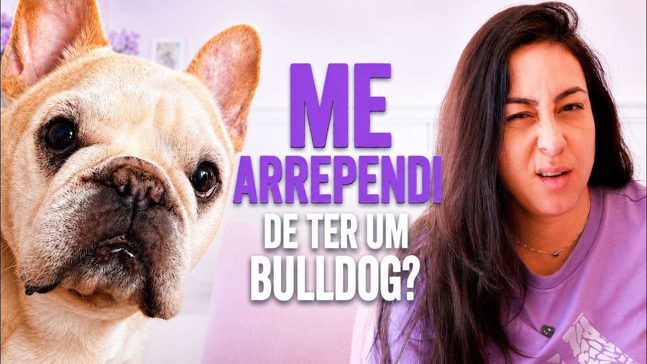 EU TERIA UM BULLDOG FRANCÊS DE NOVO????