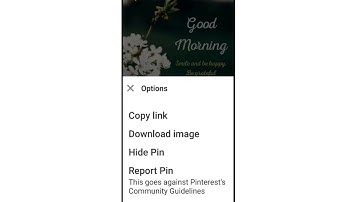 How To Fix Pinterest Download Images problem solve