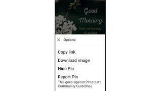How To Fix Pinterest Download Images problem solve screenshot 5