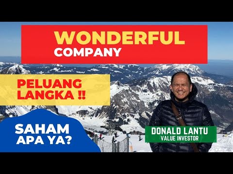 WONDERFUL COMPANY | Peluang Sangat LANGKA | Saham Apa ya Kira-kira? Bisa disimpan seumur Hidup