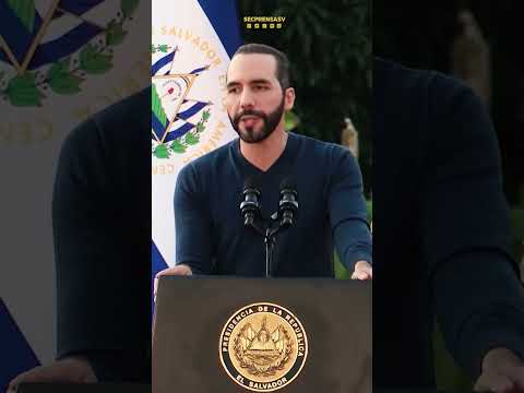 Presidente Nayib Bukele