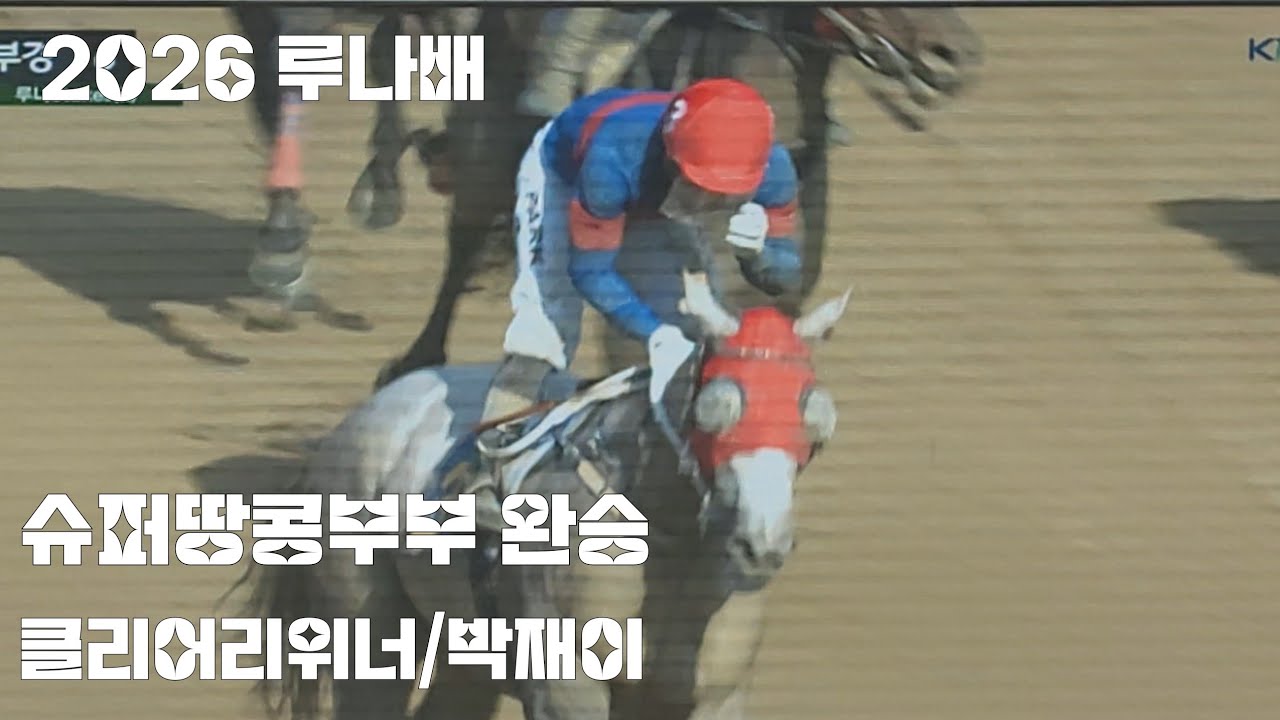 남편이 해냈읍니다~^^(기수와 조교사 슈퍼땅콩부부 루나배 우승)#경마 
