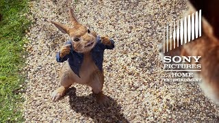 Peter Rabbit Now On Digital & On Blu-Ray May 1