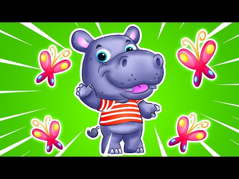 Hippopotame + Allons au Zoo + Plus de Comptines et de Chansons pour Enfants