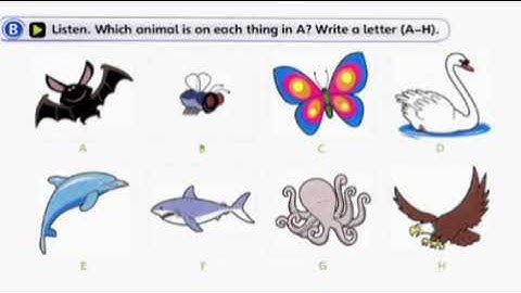 Fun for flyers 4e Unit 6 my things