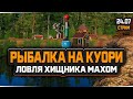 Русская Рыбалка 4 — Стрим на озере Куори
