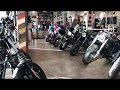 Dealership harleydavidson novosibirsk  new models