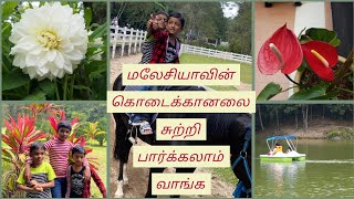 Trip to Fraser Hills/Bukit Fraser Malaysia Tamil Vlog/One Day Tour in Malaysia/Shayas Kitchen