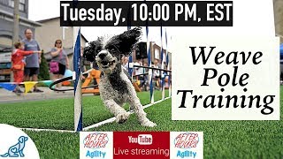 Dog Agility Training  Weave Pole Training  Professional Dog Training Tips