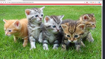 AppAppDuck 網頁開發教學(廣東話) - HTML & CSS - 第1.03堂 - Landing Picture (New)