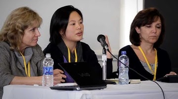 Interoperability in Health Data Silos // HISUM2012