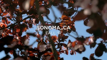 west elm On Location: Sonoma, California