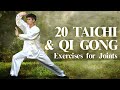 20 Tai chi & Qi Gong Exercises For Joints, Flexibility, Arthritis