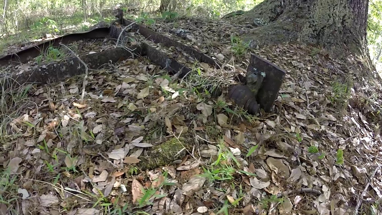 florida history jobs Old Ranch Area in The Green Swamp