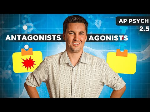 Video: Is sarin 'n agonis of antagonis?