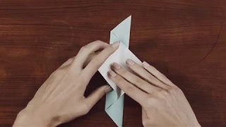 Apprenez l'origami avec WWF