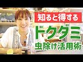 【ドクダミ虫除けスプレー】30秒でできる夏大活躍の防虫スプレー！どくだみチンキで作る簡単快適活用術！【ドクダミチンキの作り方〜活用】