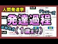 【人間発達学①】１歳までの発達過程（デンバー式・遠城寺式）【理学療法士・作業療法士】