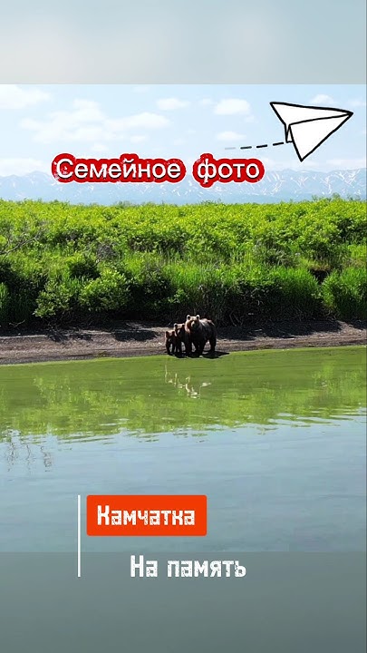 Неожиданная встреча😁 #travel #природа #рыбалка #дикиезвери #юмор - YouTube