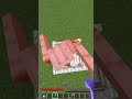 Only Legends Can Do This Clutch 👑 #minecraft #gaming #mincraftpvp