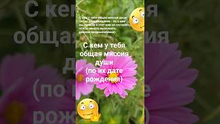 С кем у тебя общая миссия души (по их дате рождения) / Эзотерика Знаки Зодиака 999