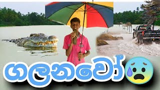 අපි යට උනා! ගං වතුර සේරම ගෙවල් නිසා ඉවරයි 😰#rain #trending #news