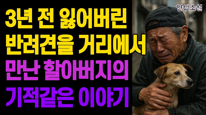 3년 전 잃어버린 반려견을 거리에서 만난 할아버지의 기적같은 이야기