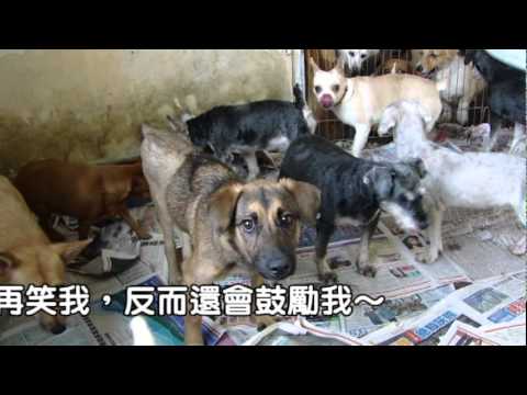 勇敢小薏仁.mpg