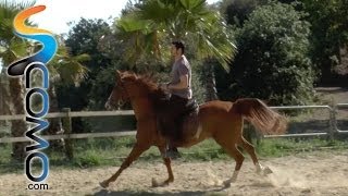 How to gallop on horseback