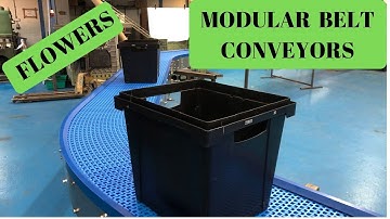 Modular Belt Flower Automation Conveyors