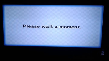 Wiimmfi Hacker 13: Player