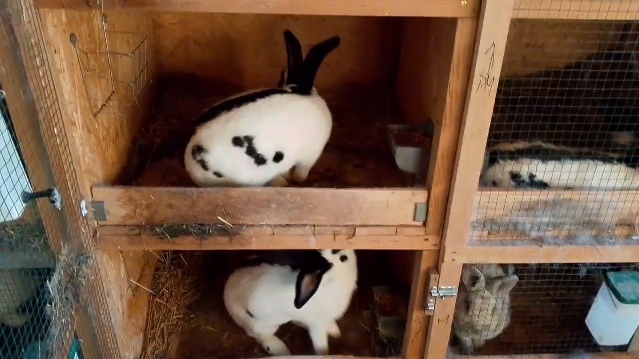 Plany wystawowe & przygotowania do sezonu 