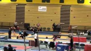2014-03-23 NYS Championship Vault 9.425