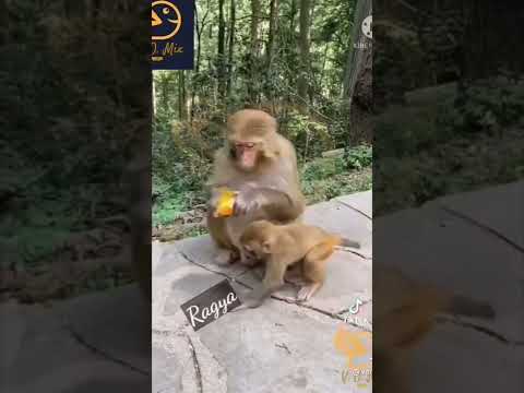 ايه بطن كريمه اوجع امال انا ابقي ايه 