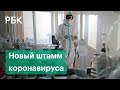 Коронавирус 2.0: суперскорость и угроза для детей — всё о новом британском штамме COVID-19