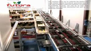 peaches and nectarines grading line