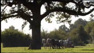 Martin Clunes - Heavy Horsepower - 3
