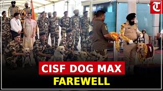 CISF dog Max given emotional farewell at Shri Guru Ramdas Ji International Airport