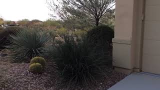 Ad15Ae24 03Fe 4588 B635 4F343C8201D4