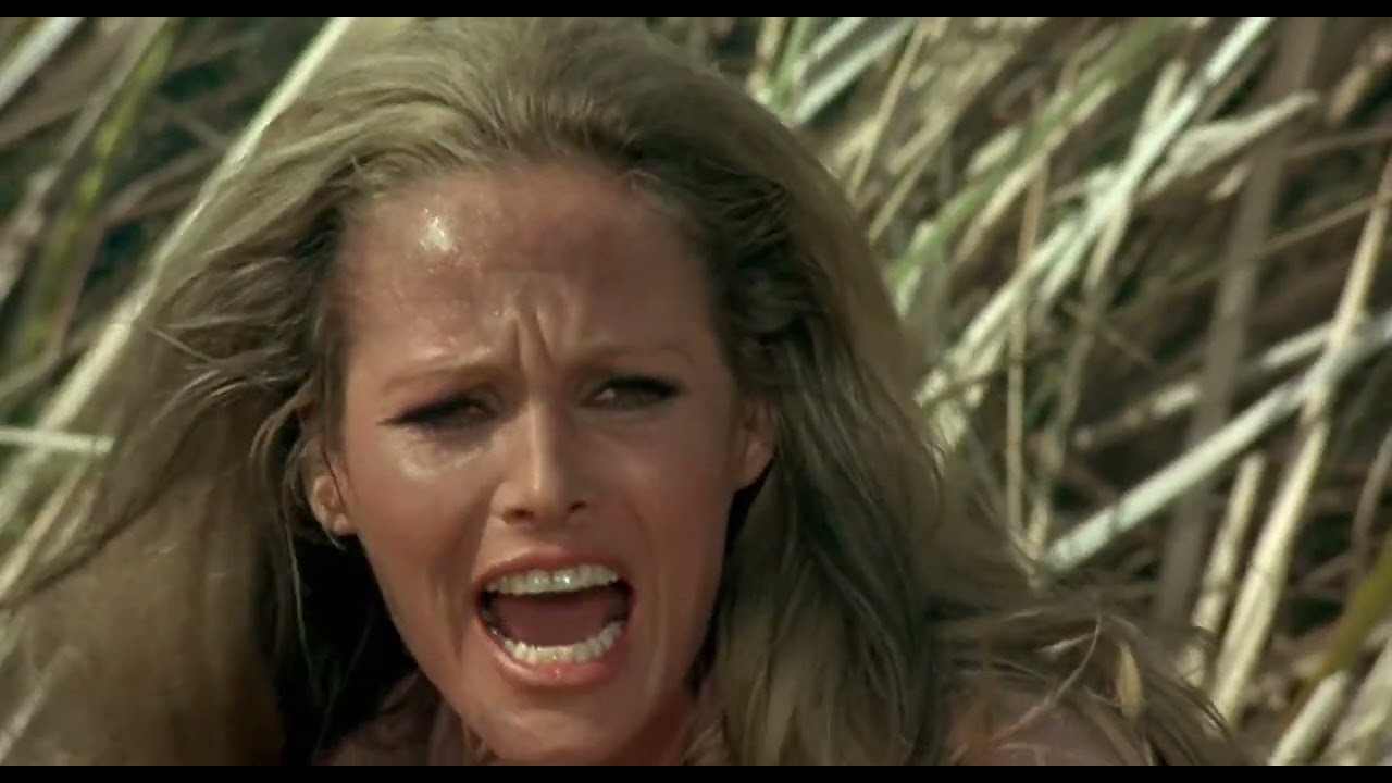 Final Fight of Red Sun (1971) Alain Delon, Charles Bronson