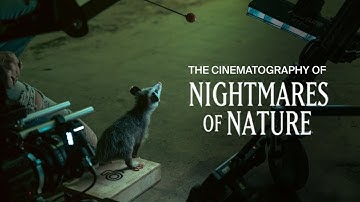 How Nightmares of Nature Was Lit: Cinematic Documentary Lighting Explained