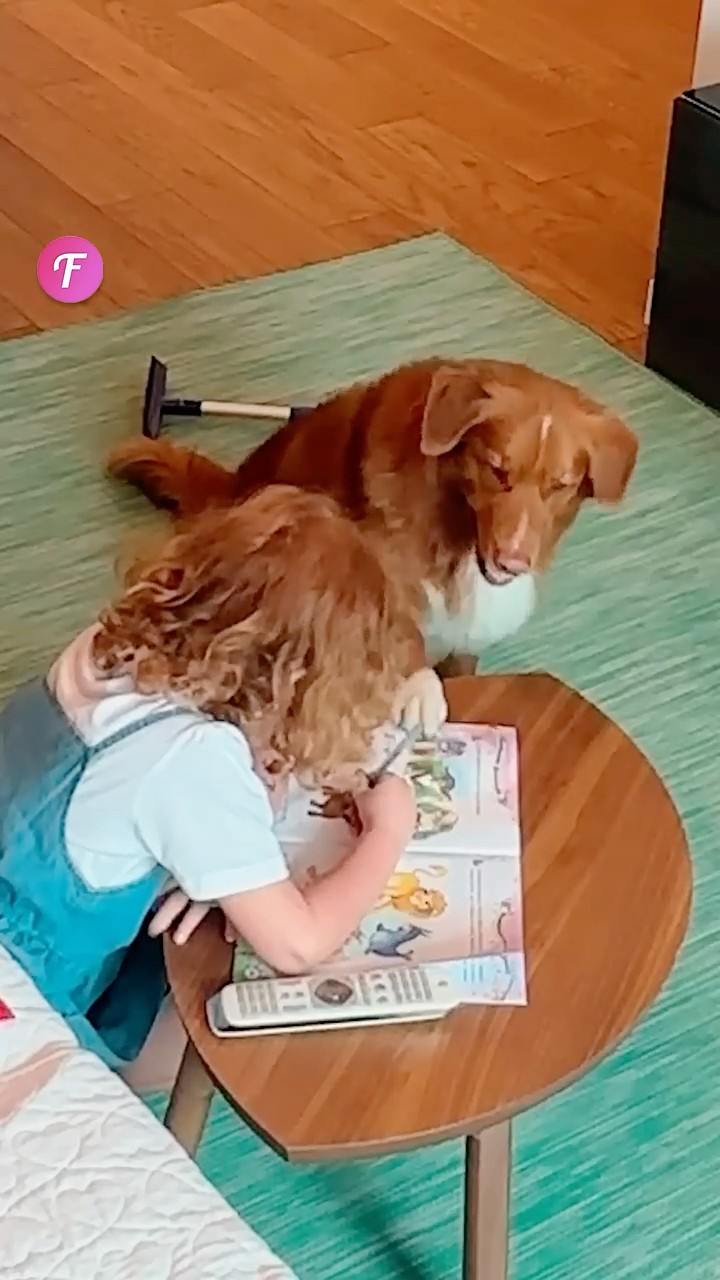 When Your Dog Becomes Your Homework Helper! #shorts